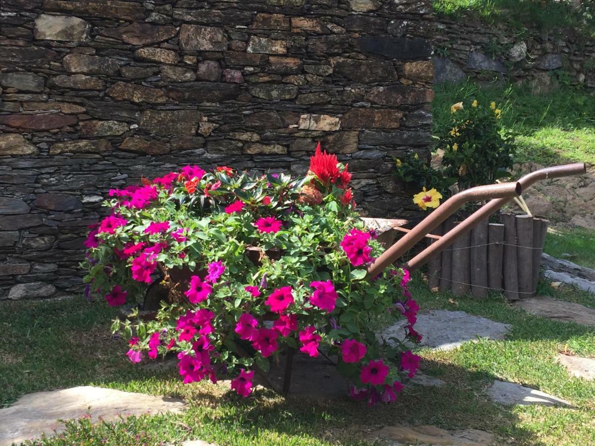 Casa Lia Da Porta Villa Caminha Luaran gambar