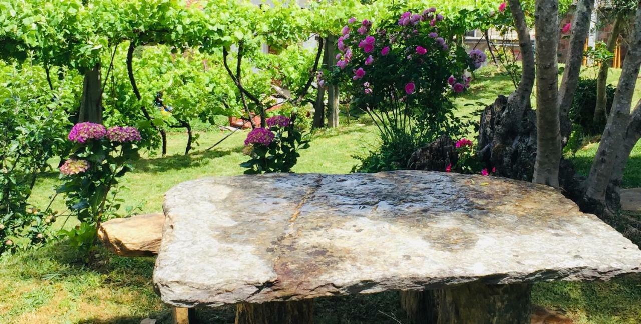 Casa Lia Da Porta Villa Caminha Luaran gambar